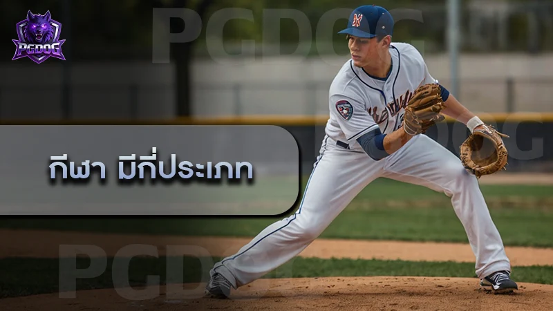 กีฬา มีกี่ประเภท