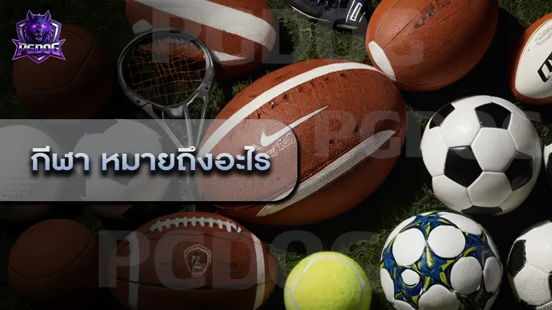 กีฬา หมายถึงอะไร