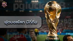 ฟุตบอลโลก มีกี่ทีม